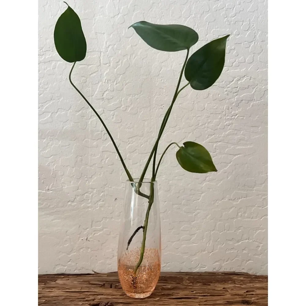 Art Glass Hydroponic Vase Clear Orange & White Speckled Gradient
